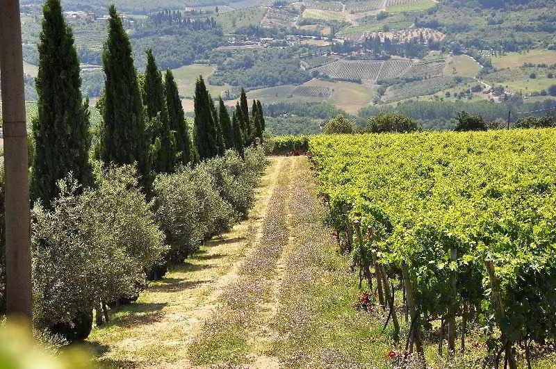 Hotel Borgo Castelvecchi Residenza Depoca à Radda in Chianti